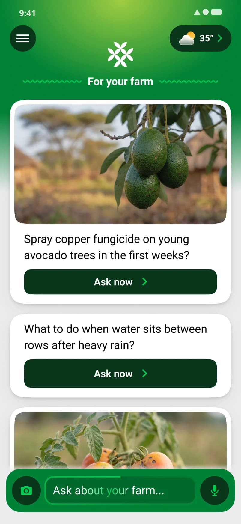 The FarmerChat home screen with tailored farm advice