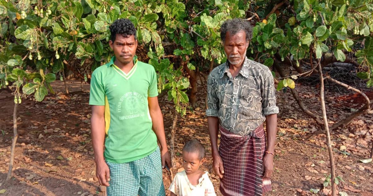 Remote Tribal Cashew Farmers Use the Digital Advantage