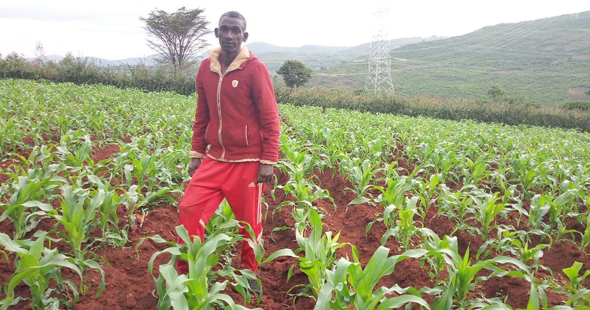 Fighting FAW With Video-Based Agriculture Extension