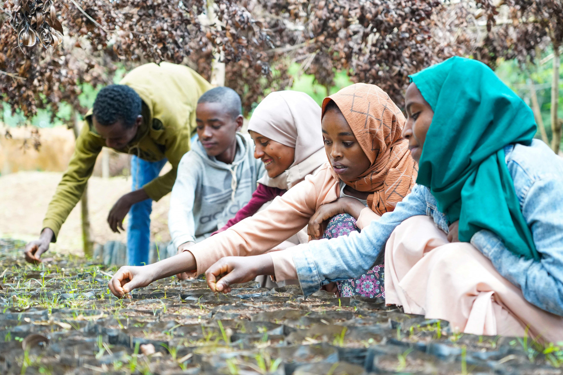 From Unemployment to Entrepreneurs: The Transformative Impact of a Youth-Led Enterprise in Ethiopia