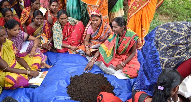 Women Who Grow: How women farmers in Odisha, India are at the forefront of the digital agriculture revolution